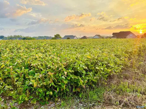 15 Acres Tower St, Trinity, AL 35673 photo 2