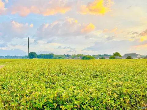 15 Acres Tower St, Trinity, AL 35673 photo 6