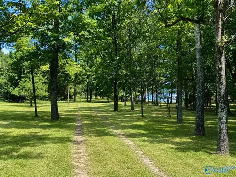 90 County Road 617, Cedar Bluff, AL 35959 photo 20