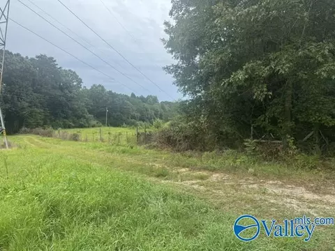196 County Road 230, Hollywood, AL 35752