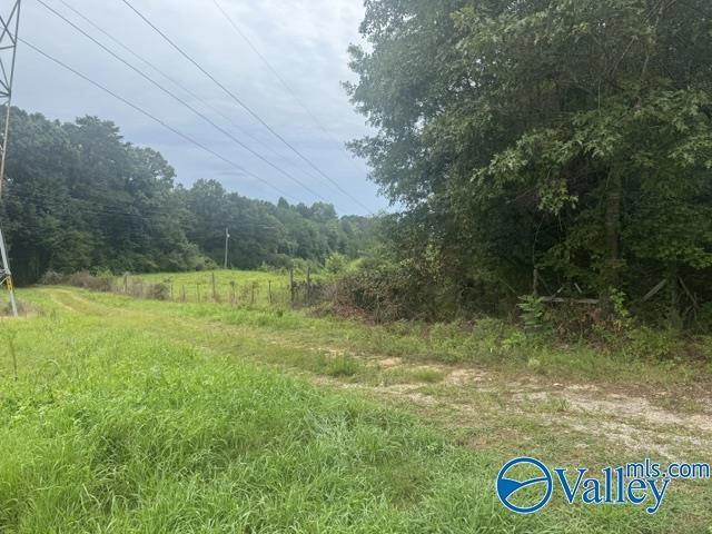 196 County Road 230, Hollywood, AL 35752