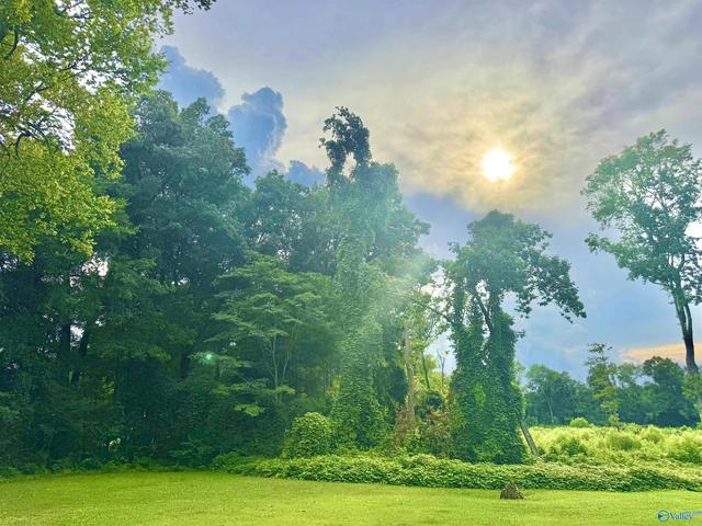 21 Arapaho Trl SE, Decatur, AL 35601