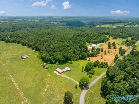 View/Area - 2152 County Road 49, Section, AL 35771 photo 2 of 2