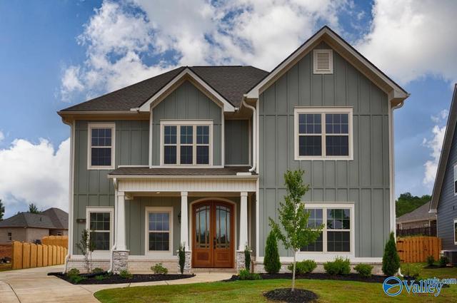 105 Grand Springs Ct, Madison, AL 35756