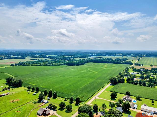 80 Buddy Williamson Rd, New Market, AL 35761