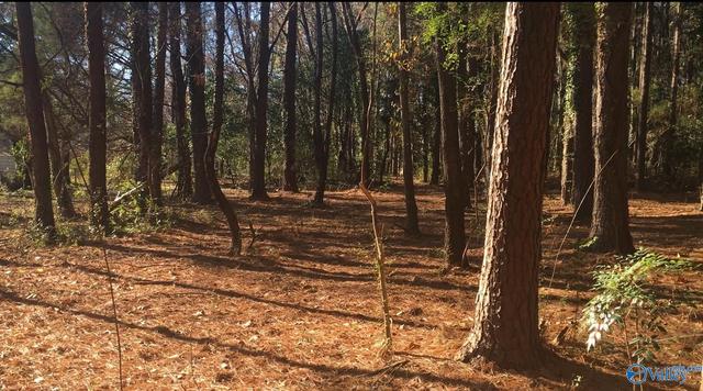 2 4 Acres Linde St, Huntsville, AL 35810