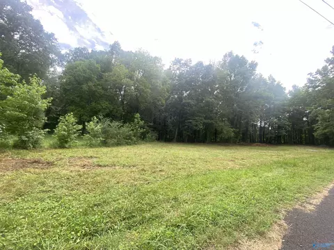 306 Snider Rd, Guntersville, AL 35976