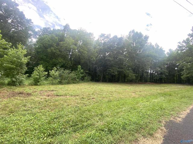306 Snider Rd, Guntersville, AL 35976
