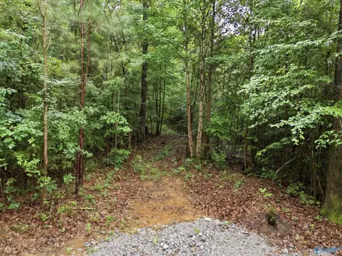 773 Mccutcheon Loop Rd, Laceys Spring, AL 35754 photo 15