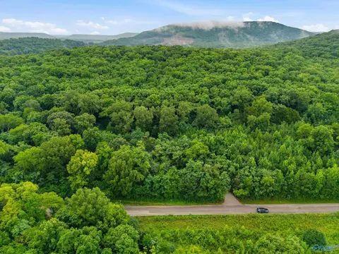 773 Mccutcheon Loop Rd, Laceys Spring, AL 35754 photo 4