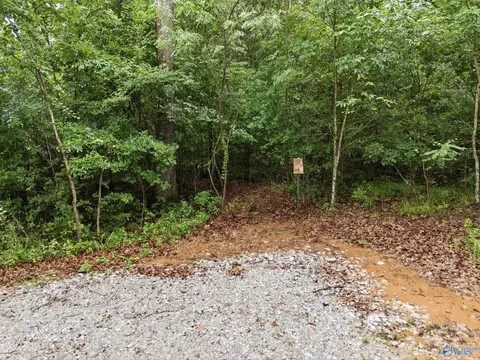 773 Mccutcheon Loop Rd, Laceys Spring, AL 35754 photo 14