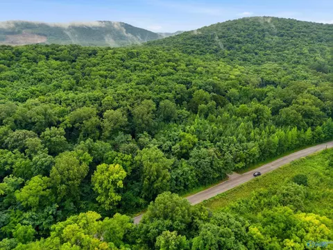 773 Mccutcheon Loop Rd, Laceys Spring, AL 35754 photo 3