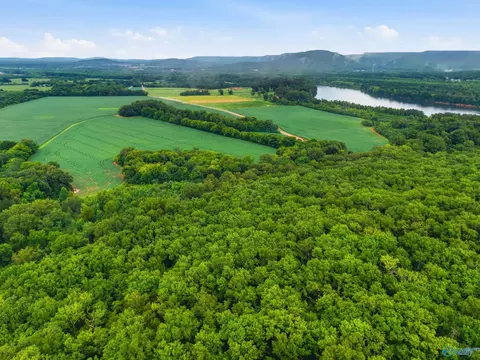773 Mccutcheon Loop Rd, Laceys Spring, AL 35754 photo 8