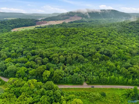 773 Mccutcheon Loop Rd, Laceys Spring, AL 35754 photo 6