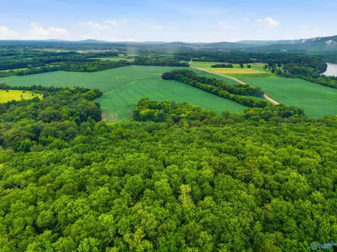 773 Mccutcheon Loop Rd, Laceys Spring, AL 35754 photo 9