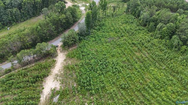 006 County Road 921, Gaylesville, AL 35973