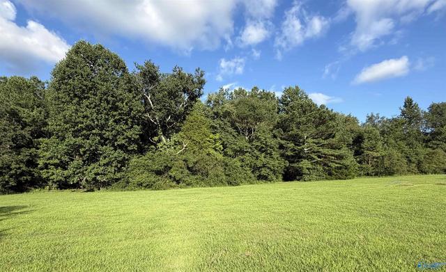 23930 Flanagan Rd, Athens, AL 35614