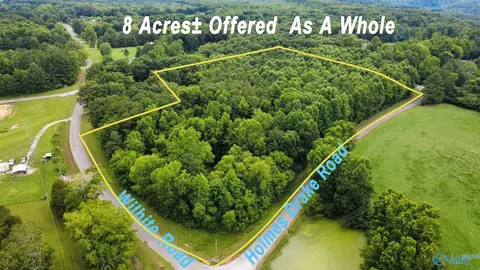 8 Acres Holmes Drake Rd, Falkville, AL 35622