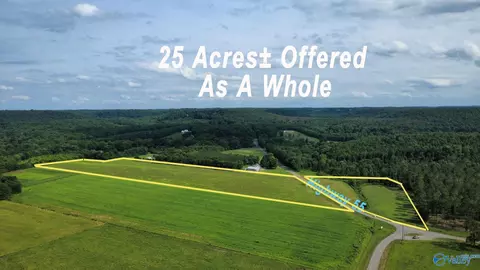 25 Acres Highway 55, Falkville, AL 35622