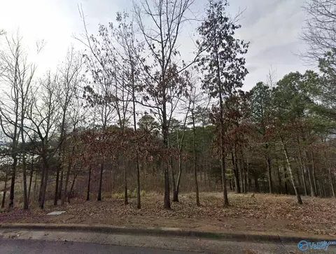 35 Harbor Point Dr, Guntersville, AL 35976