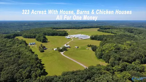 195 Taylor Nelson Rd, Falkville, AL 35622