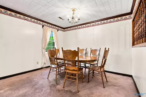 816 County Road 368, Trinity, AL 35673 photo 11