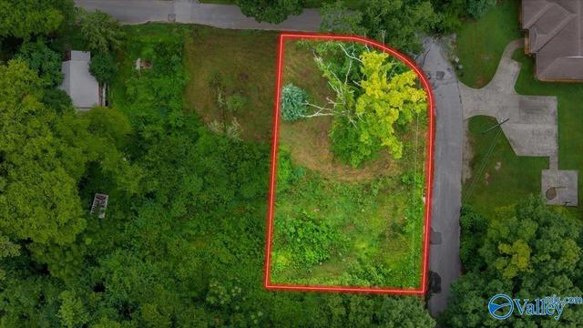 2501 Link Ave, Huntsville, AL 35810