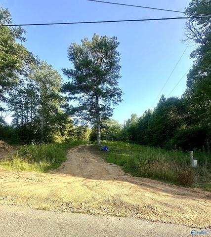 3707 Vaughn Rd, Altoona, AL 35952