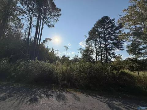1 46 Acres 2nd Ave, Altoona, AL 35952