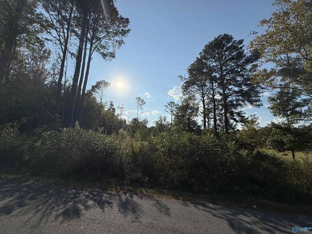 1 46 Acres 2nd Ave, Altoona, AL 35952