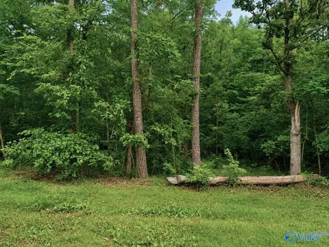 lot34 County Road 608, Cedar Bluff, AL 35959