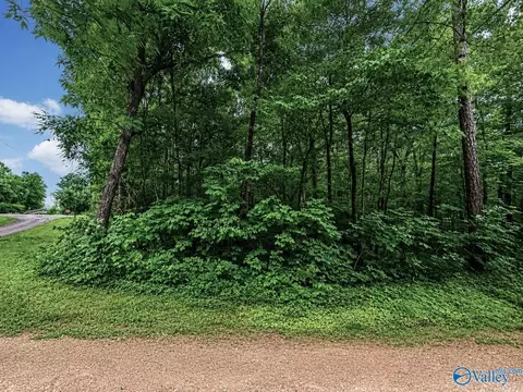lot37 County Road 683, Cedar Bluff, AL 35959
