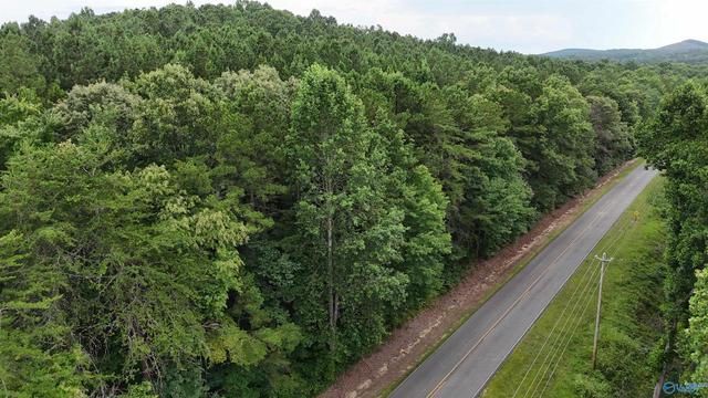 003 County Road 41, Gaylesville, AL 35973