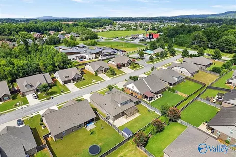 View/Area - 109 Idared Ln, Madison, AL 35758 photo 7 of 8