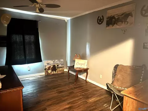 Other - 29738 Easter Ferry Rd, Lester, AL 35647 photo 3 of 6