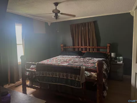 Bedroom - 29738 Easter Ferry Rd, Lester, AL 35647 photo 1 of 4