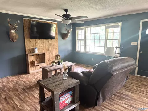 Living - 29738 Easter Ferry Rd, Lester, AL 35647 photo 3 of 3