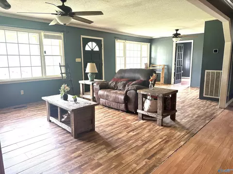 Other - 29738 Easter Ferry Rd, Lester, AL 35647 photo 1 of 6
