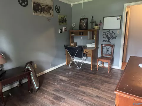 Other - 29738 Easter Ferry Rd, Lester, AL 35647 photo 4 of 6
