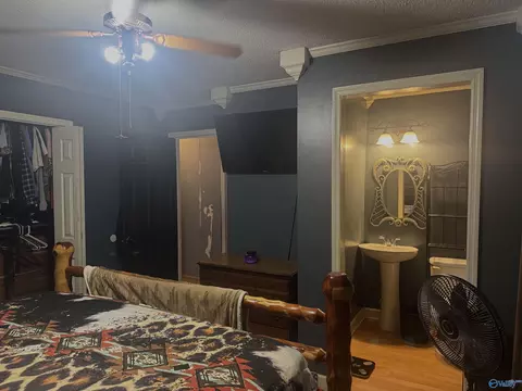 Bedroom - 29738 Easter Ferry Rd, Lester, AL 35647 photo 3 of 4