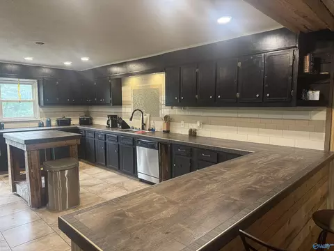 Kitchen - 29738 Easter Ferry Rd, Lester, AL 35647 photo 4 of 4