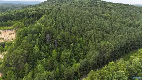 05 County Road 41, Gaylesville, AL 35973