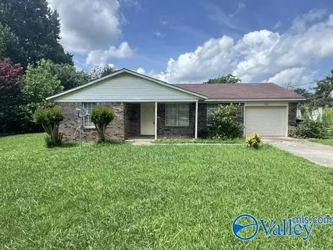 131 Stan Ryan Rd, Toney, AL 35773