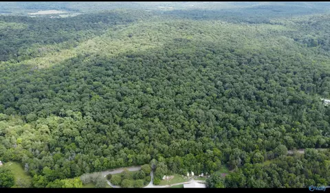 15 Acres Mill Rd, Woodville, AL 35776