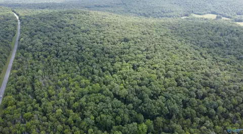 11 Acres Cathedral Caverns Hwy, Woodville, AL 35776