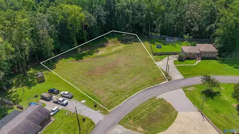 lot7 Pinecrest Dr, Trinity, AL 35673 photo 4
