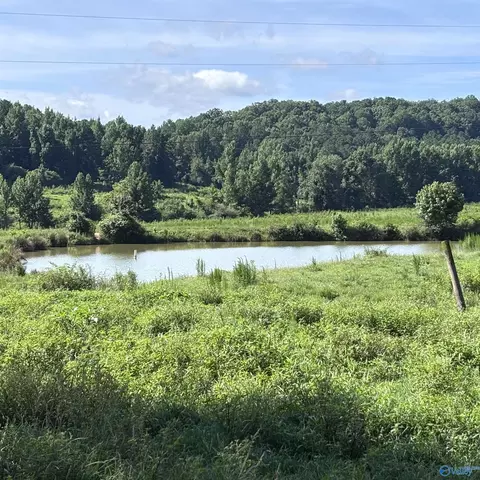 97 Acres County Road 611, Valley Head, AL 35989