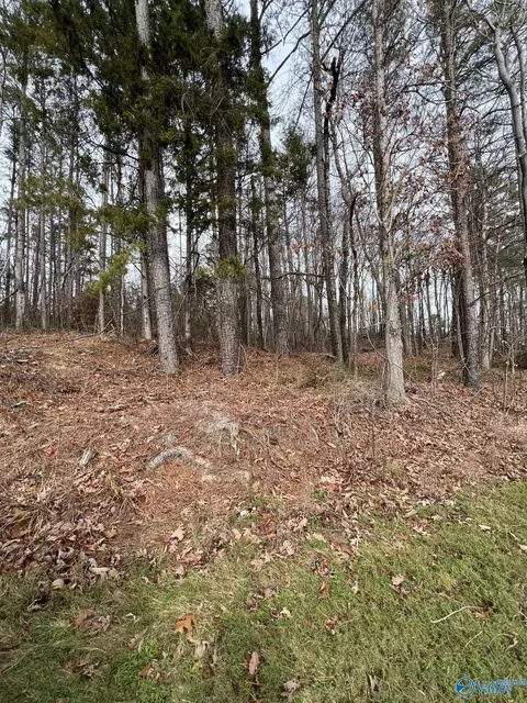 5627 Alabama Highway 227, Guntersville, AL 35976