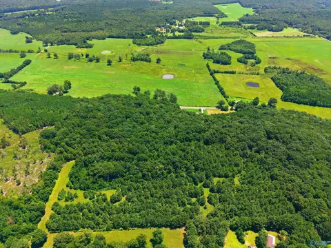 View/Area - 452 Sharpford Rd, Somerville, AL 35670 photo 6 of 9