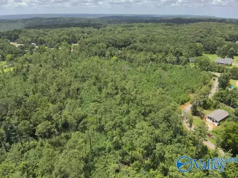 lot A Taylor Cir, Somerville, AL 35670
